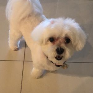 Meet your Posher, Liseth